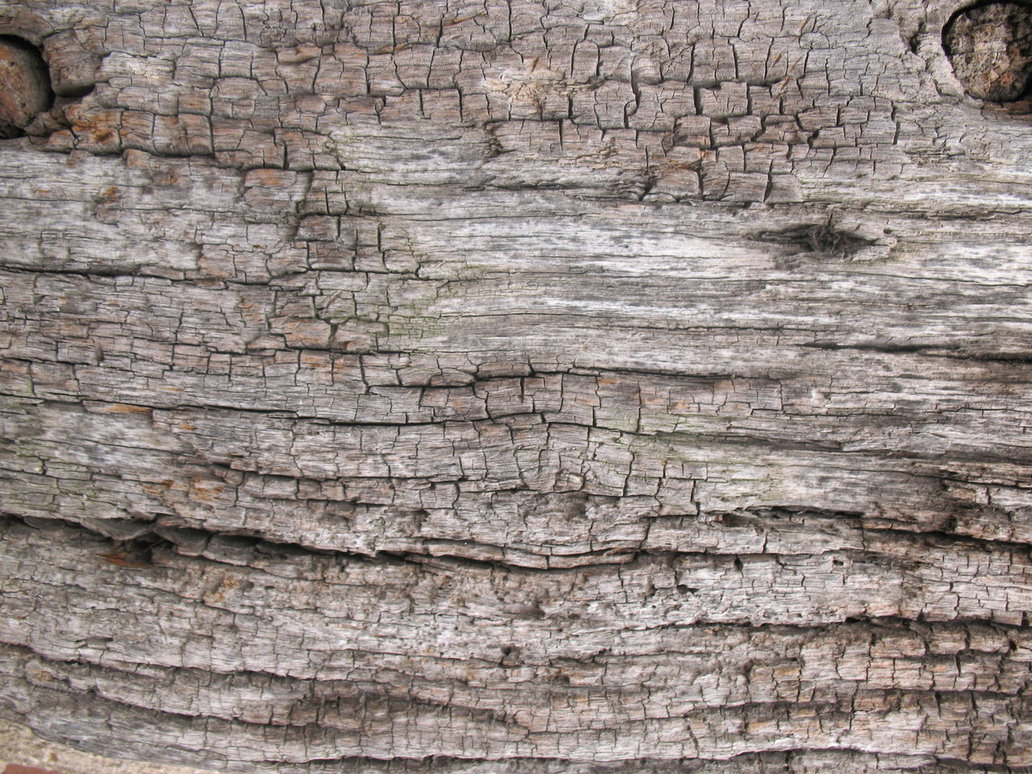 PSD Mockups crackled Wood Texture