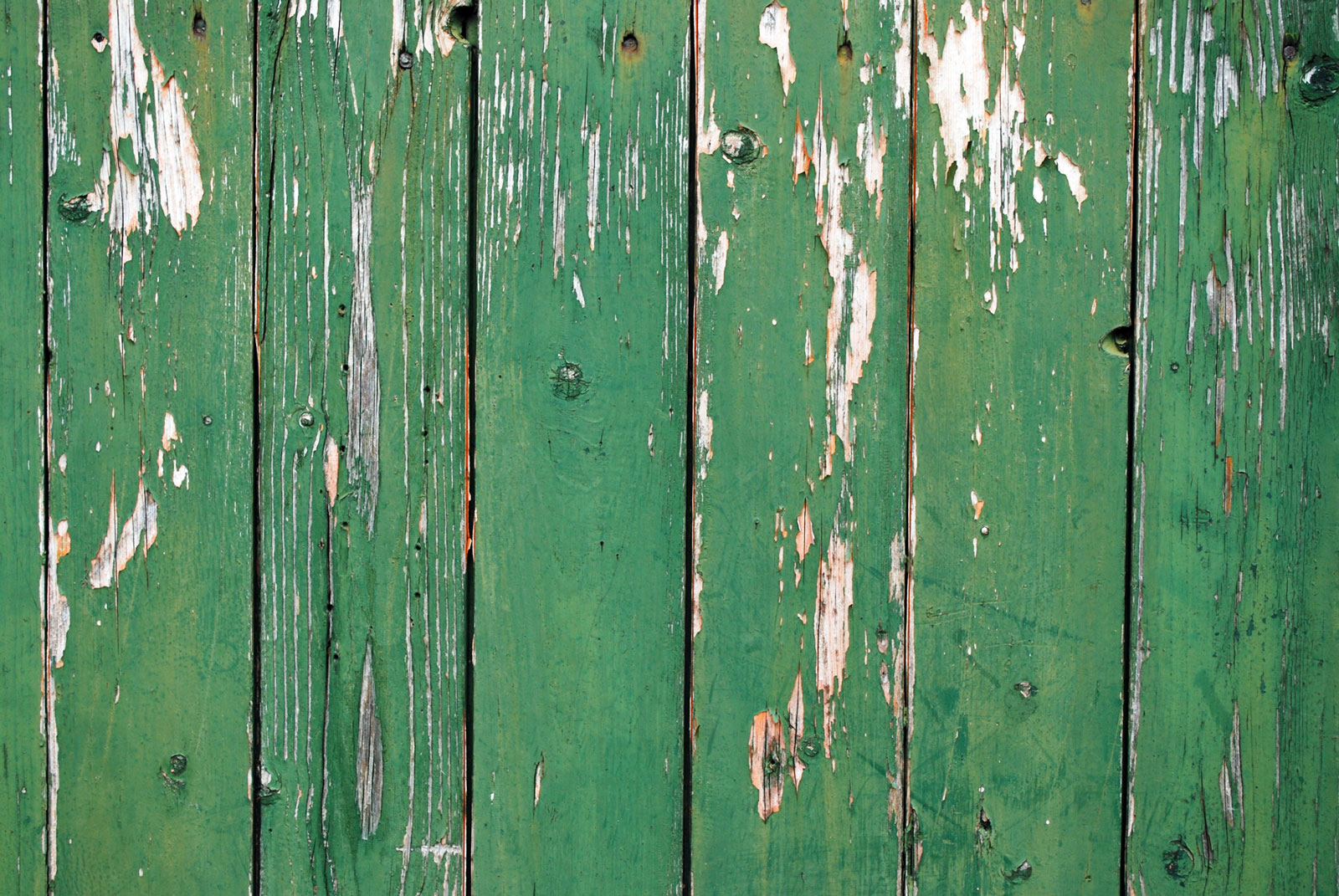 PSD Mockup Old Peeling Kontted Pine Wood Painted Fence