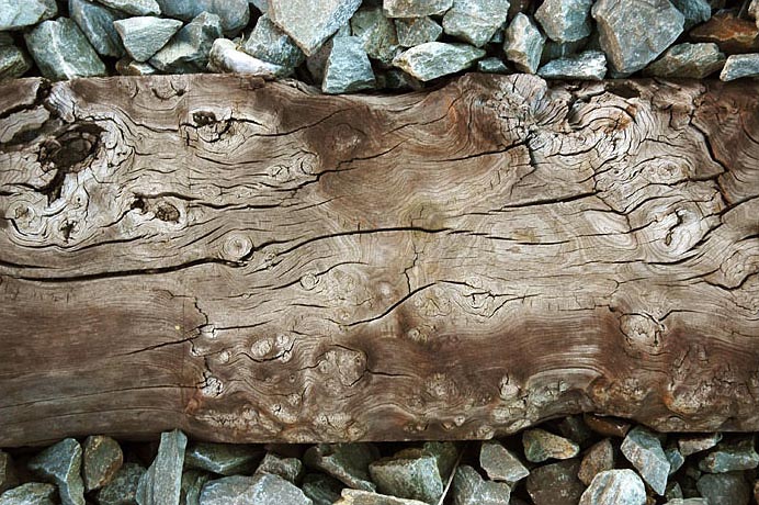 PSD Mockup River Beach Wood Knots Cracks