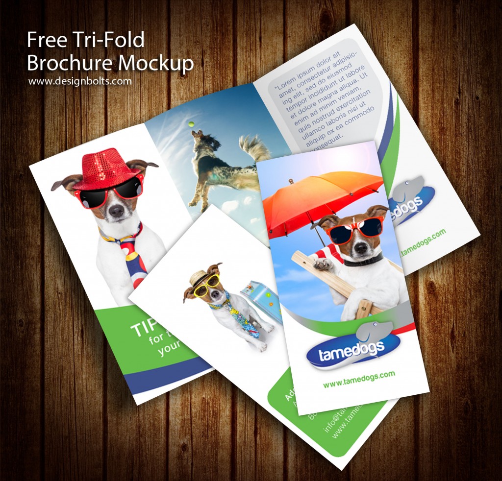 3 Panel Trifold Flyer Brochure PSD Mockups Template