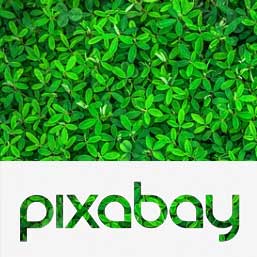 pixabay
