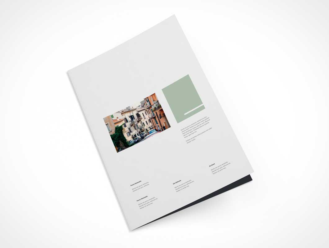 Download A4 Bi-fold Brochure Levitation Front Cover PSD Mockup ...