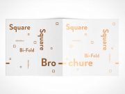 Square Bi-Fold Brochure Back Covers PSD Mockup
